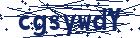 captcha here